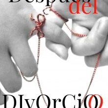 «Después del Divorcio» de Virginia Moretti