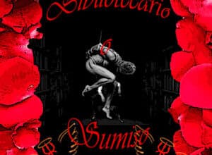 «Bibliotecario o Sumiso»