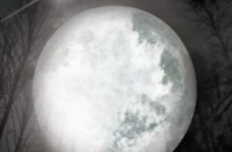 «Luna (En la oscuridad 1)» de ANA COELLO