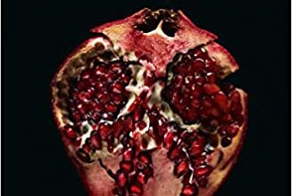 «Sol de medianoche» de Stephenie Meyer