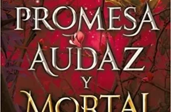 «Una promesa audaz y mortal» de Brigid Kemmerer