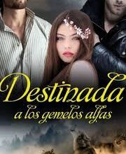 «Destinada a los gemelos alfas» de Valkyria Wolf